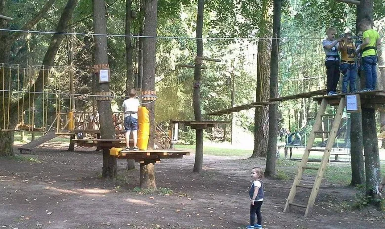 Orangutanas