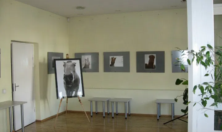 Meno skyrius /Klaipėdos miesto savivaldybės Imanuelio Kanto viešoji biblioteka 