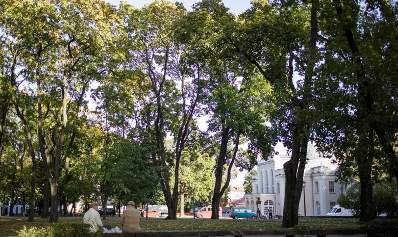 Muzikinio teatro sodelis