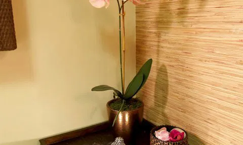 THAILAND sport & spa