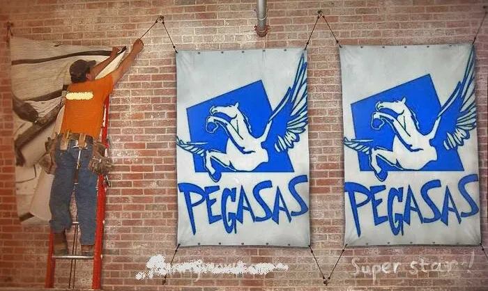 Pegasas