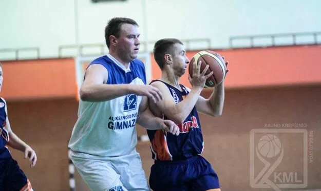 A. Puškino gimnazija