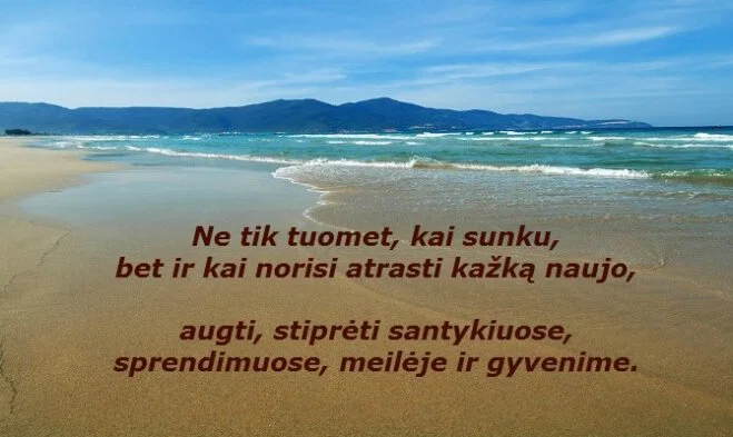 VšĮ Sisteminių sprendimų institutas