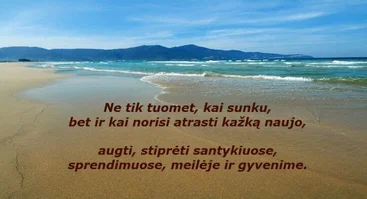 VšĮ Sisteminių sprendimų institutas