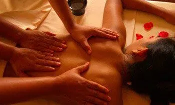 Aronija SPA