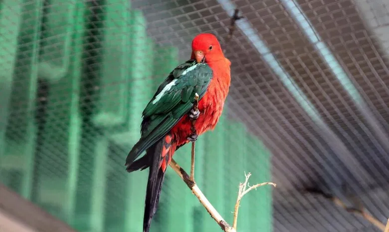 Zoopark