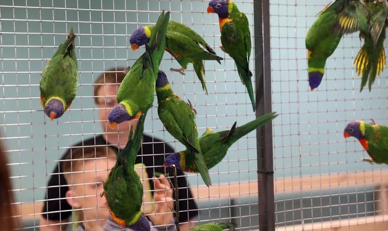 Zoopark