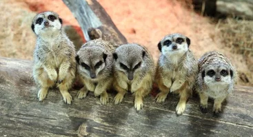 Zoopark