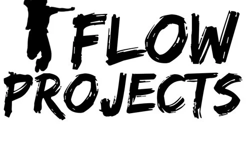 Flow Projects studija