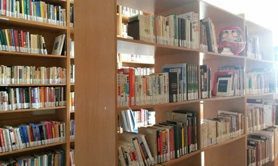 VDU Azijos studijų centras
