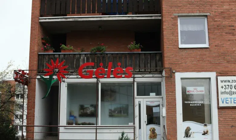 Gėlių idilė