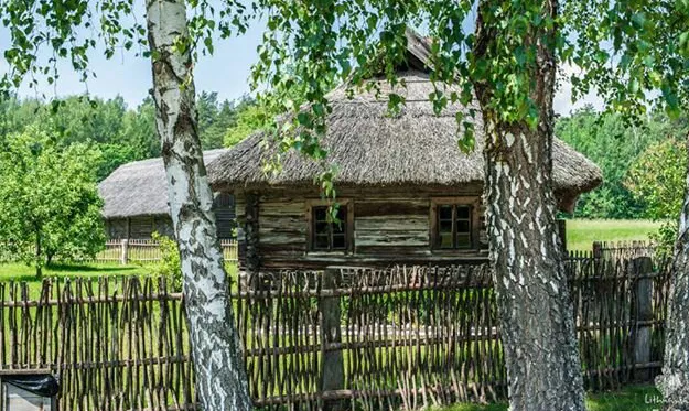 Lietuvos liaudies buities muziejus