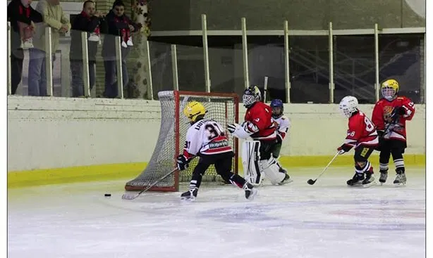Kauno ledo arena