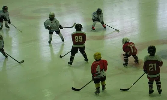 Kauno ledo arena