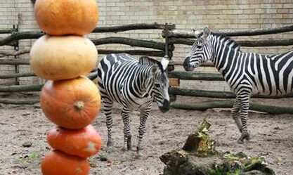 Lietuvos zoologijos sodas