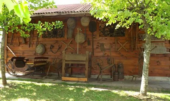 Viktorijos ir Antano Bielinių sodyba