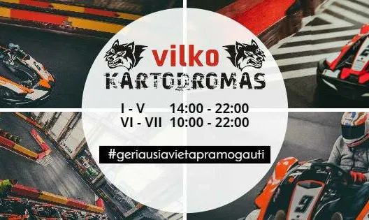 Vilko Kartodromas
