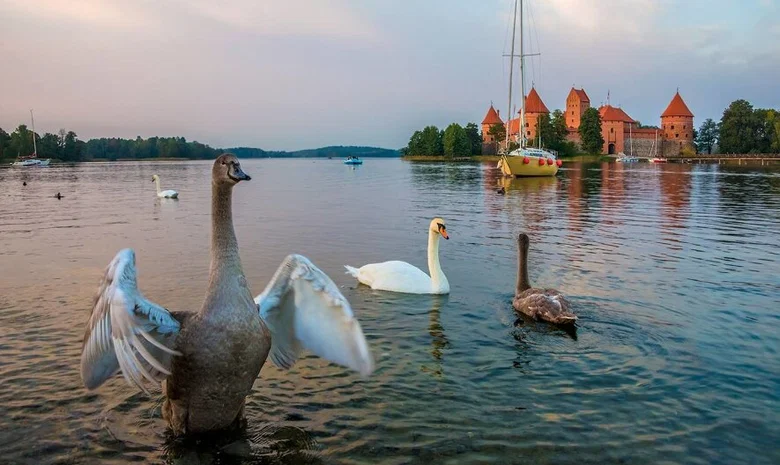 Trakai 