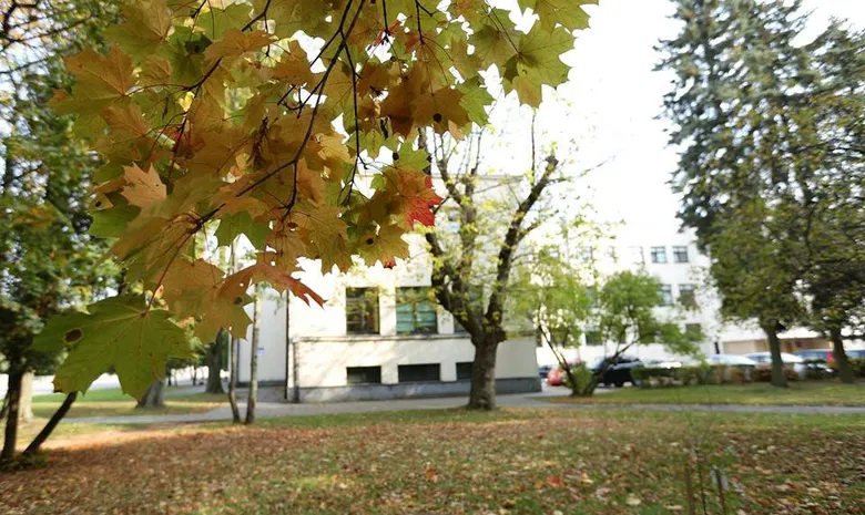 LSU - Centriniai rūmai