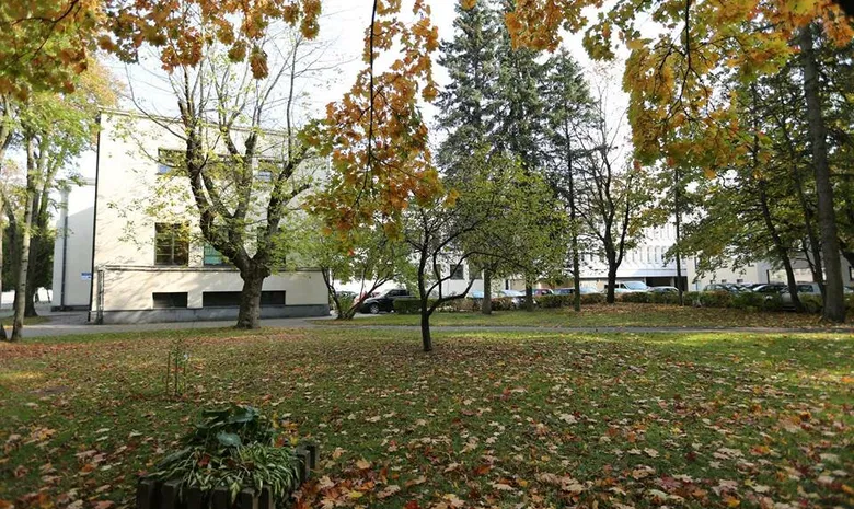 LSU - Centriniai rūmai
