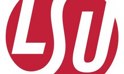 LSU - Centriniai rūmai