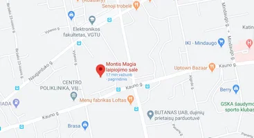 Montis magia laipiojimo salė