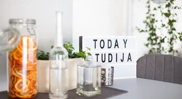 Today studija
